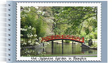 Japanese Garden in Memphis.